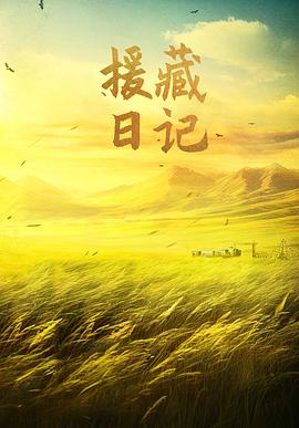 援藏日记 援藏日记